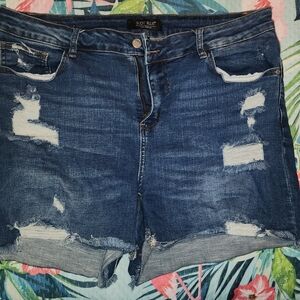 Judy Blue Denim Shorts, Plus Size